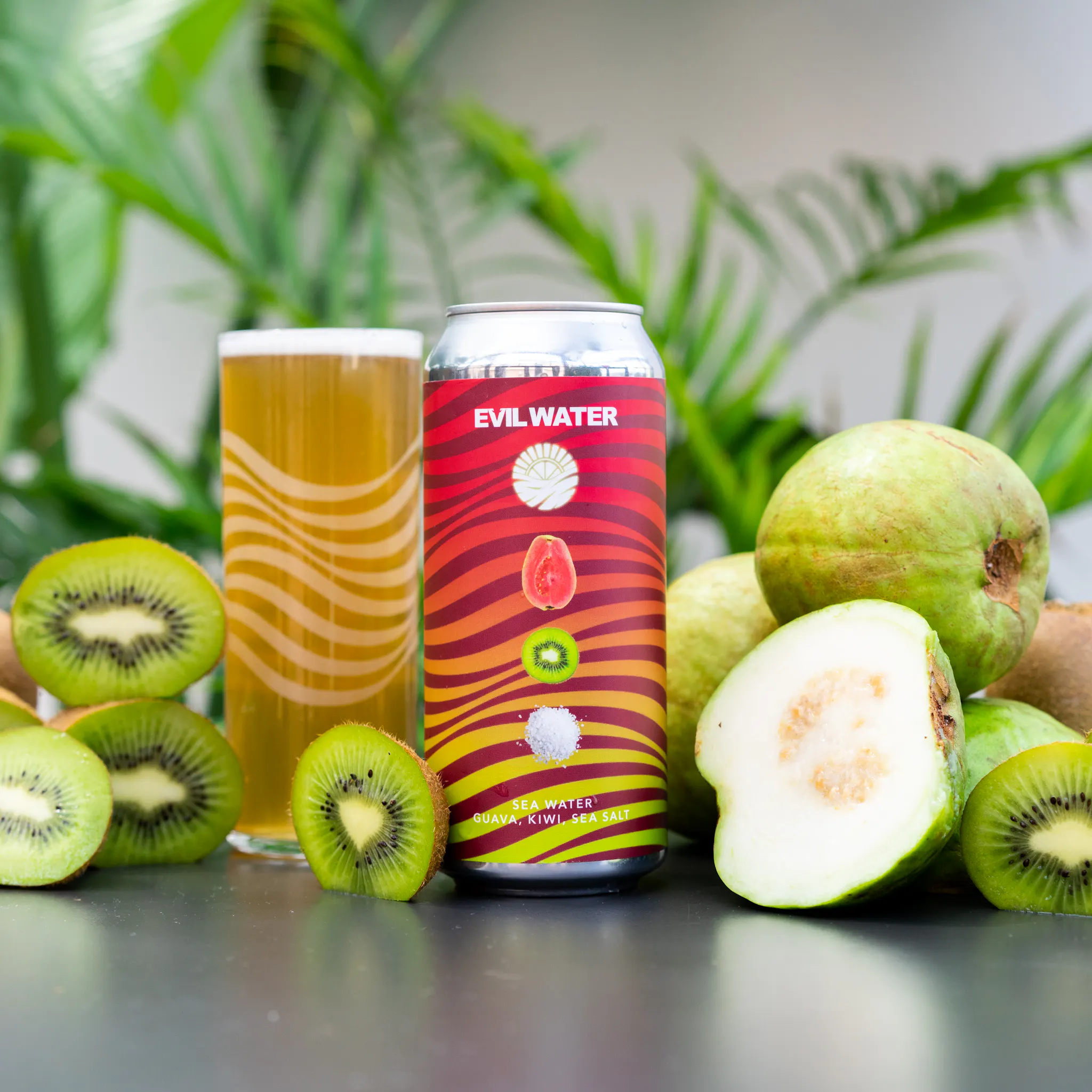 EVIL WATER SEA WATER - GUAVA, KIWI, SEA SALT | Evil Twin Brewing NYC