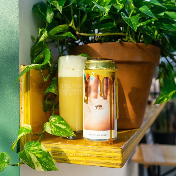 yellow beer in glass with can on table with honey and plants