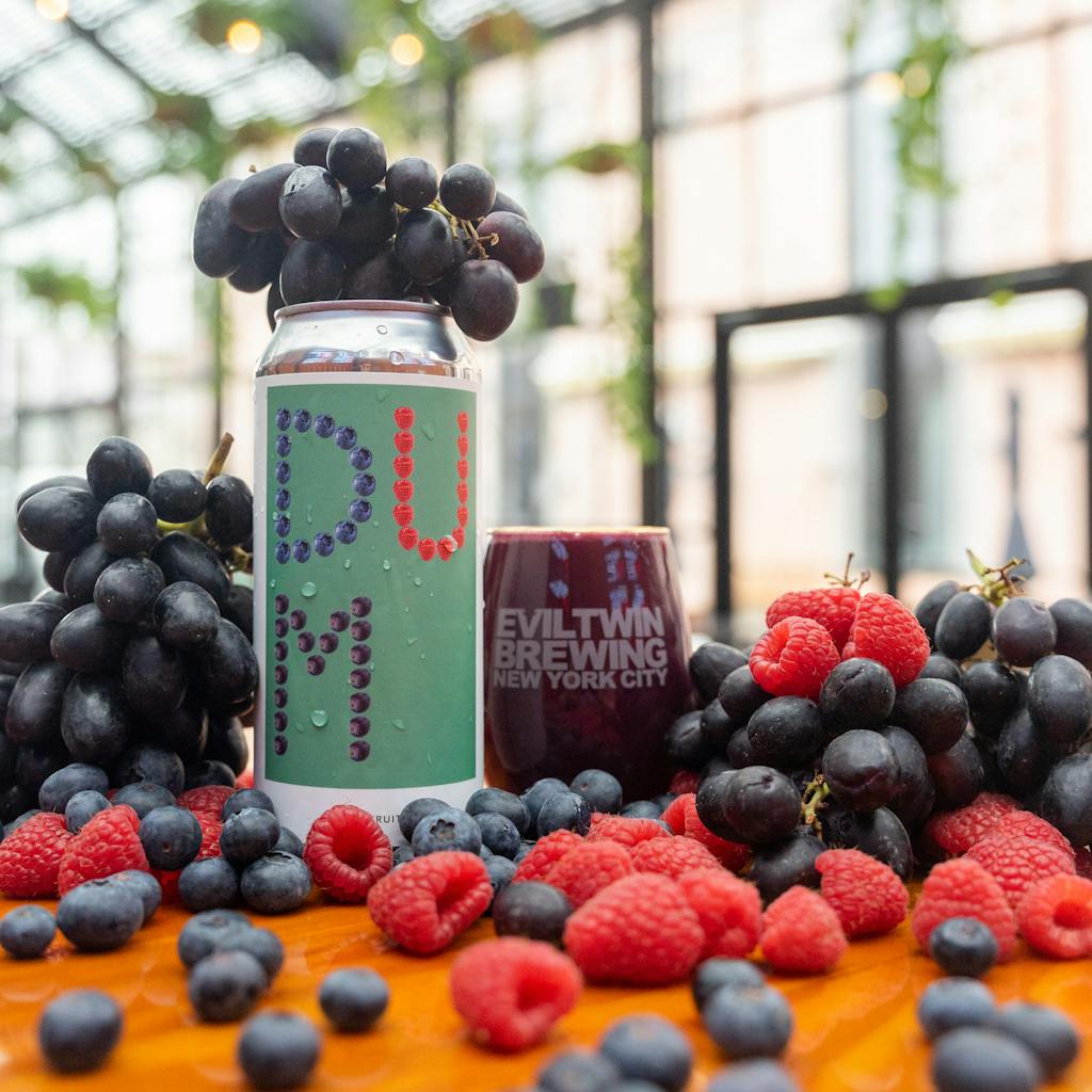DUMB FRUIT 11 – BLUEBERRY, RASPBERRY, CONCORD GRAPE
