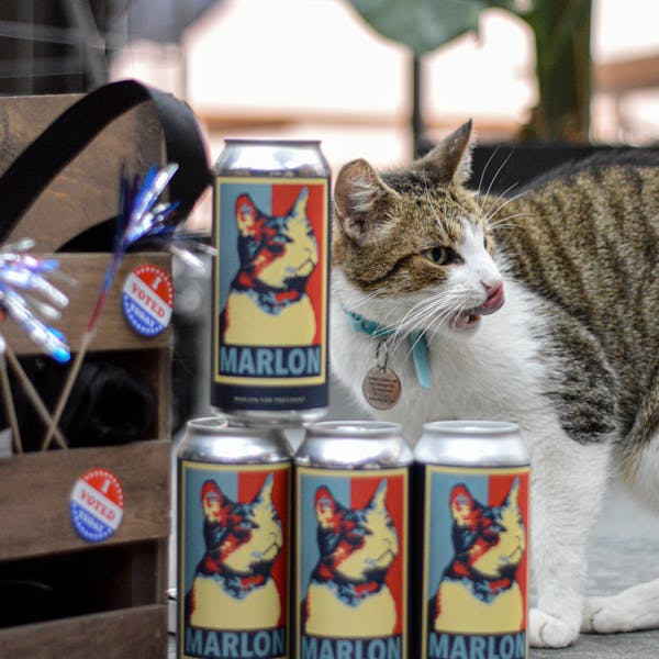 Marlon for President beer with voting and cat