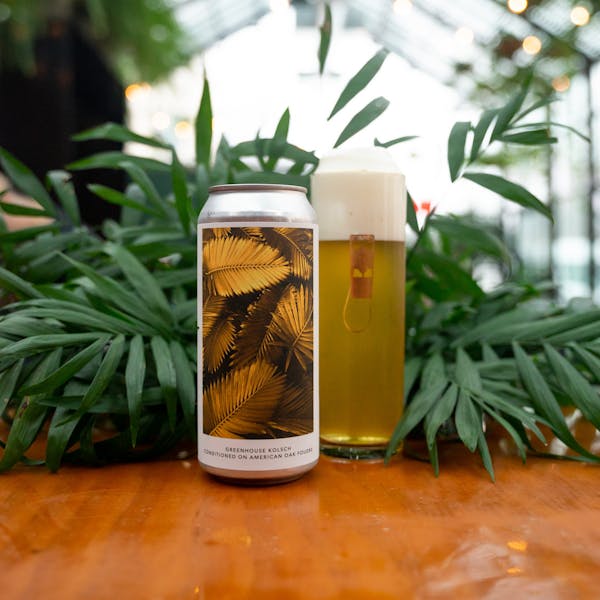 yellow beer in glass on table with plants