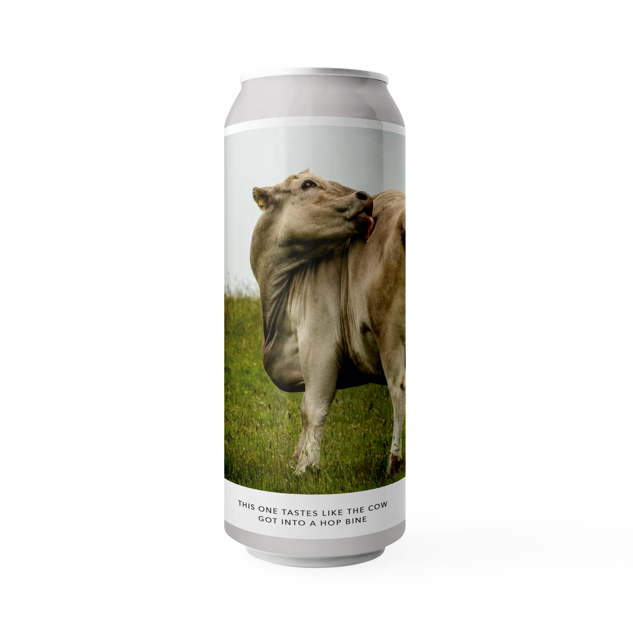 THIS ONE TASTES LIKE THE COW GOT INTO A HOP BINE