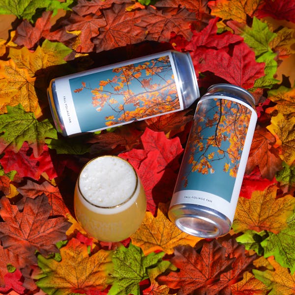 fall beer with leaves and tree