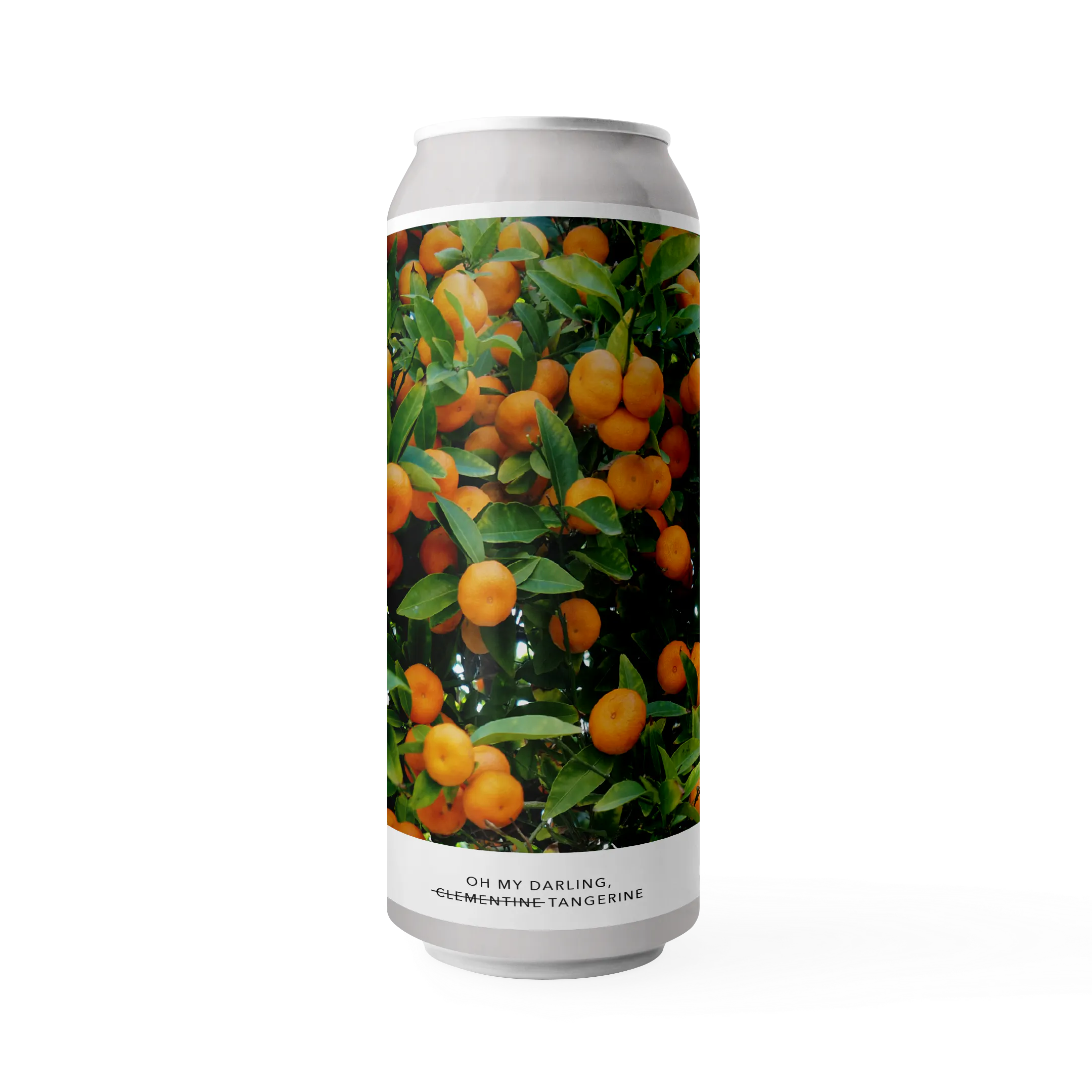 OH MY DARLING TANGERINE | Evil Twin Brewing NYC