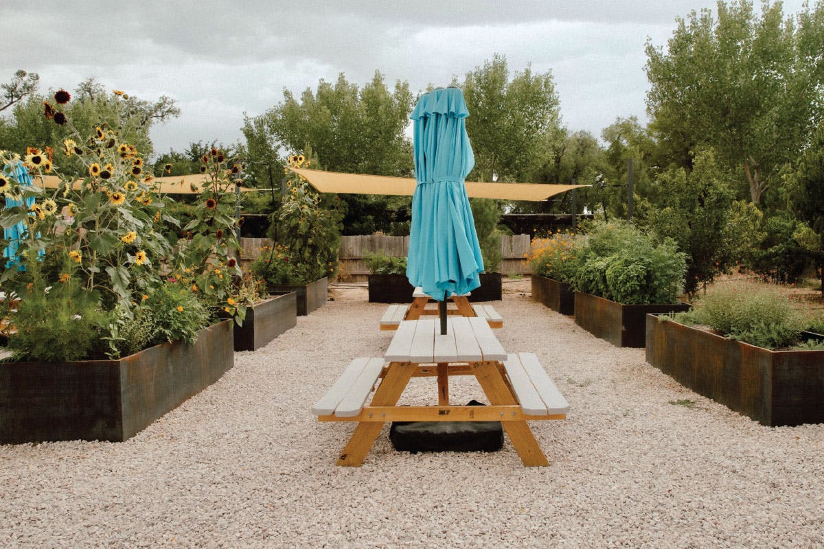 exterior of the garden area at Ex Novo Brewing - picnic benches and umbrella 