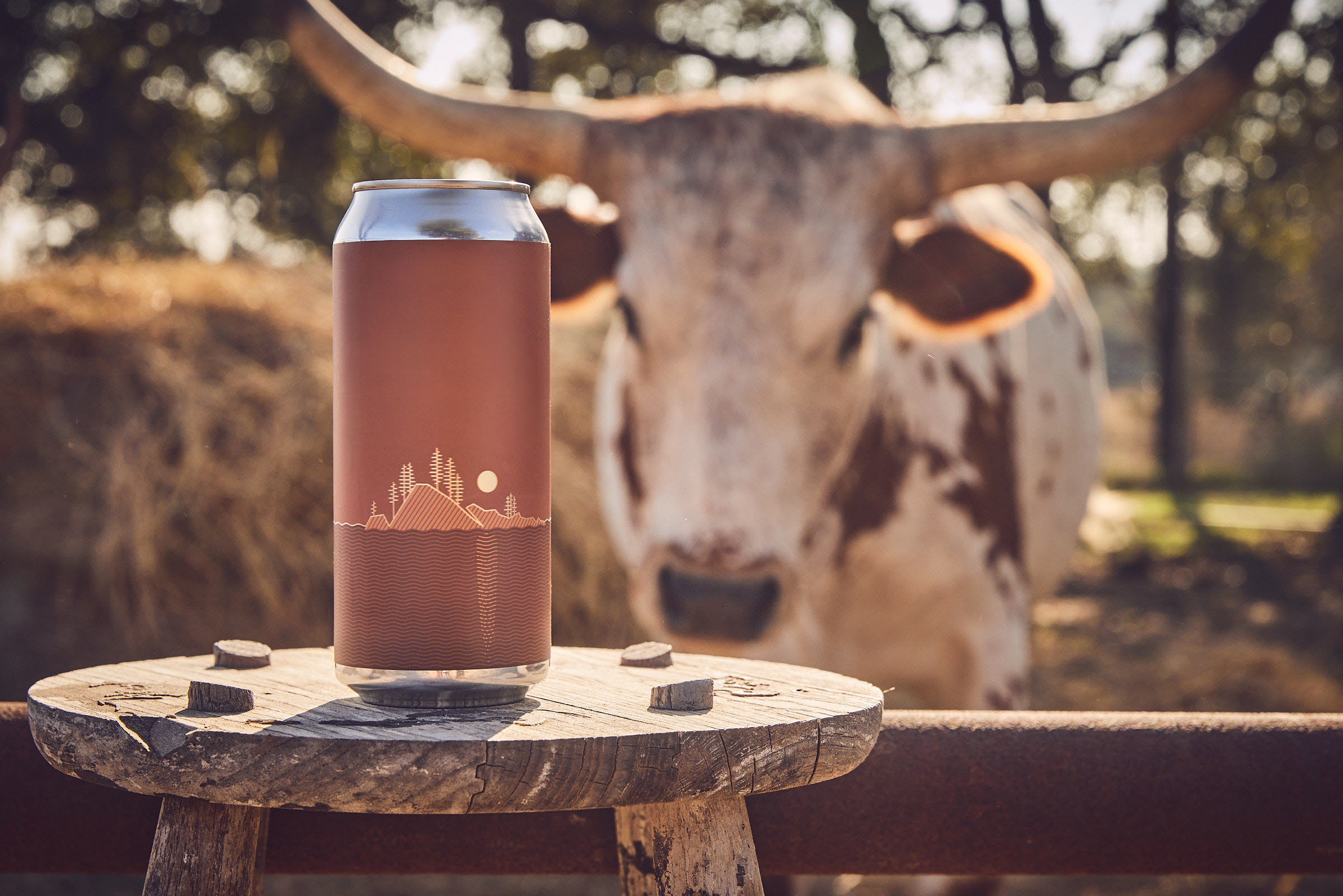 Hey y’all, Fair Isle is now in Texas!