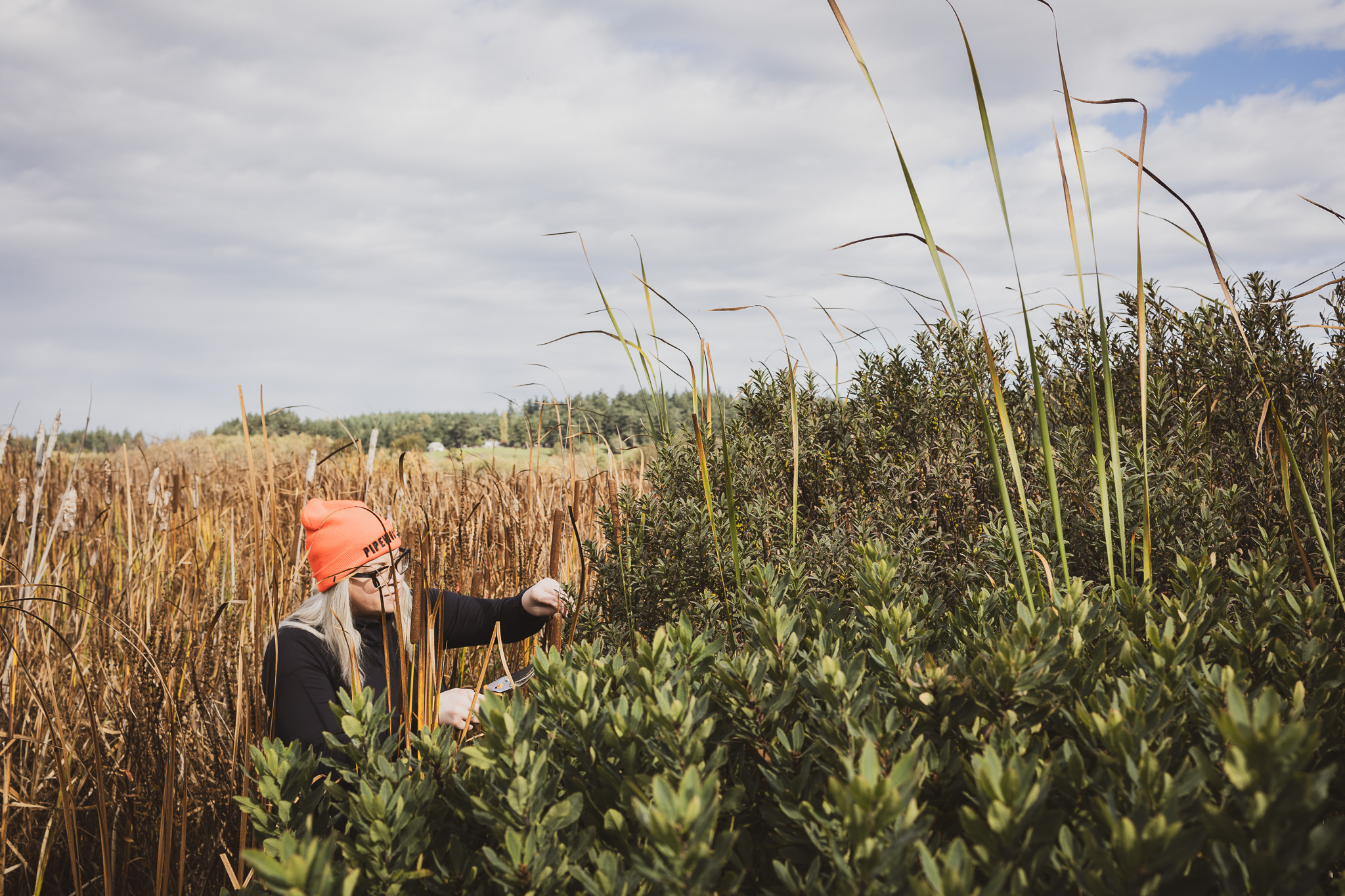 MyrtleForagingDay-02