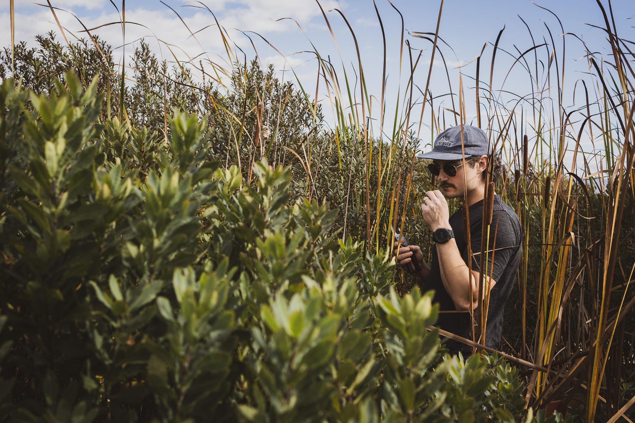 MyrtleForagingDay-03