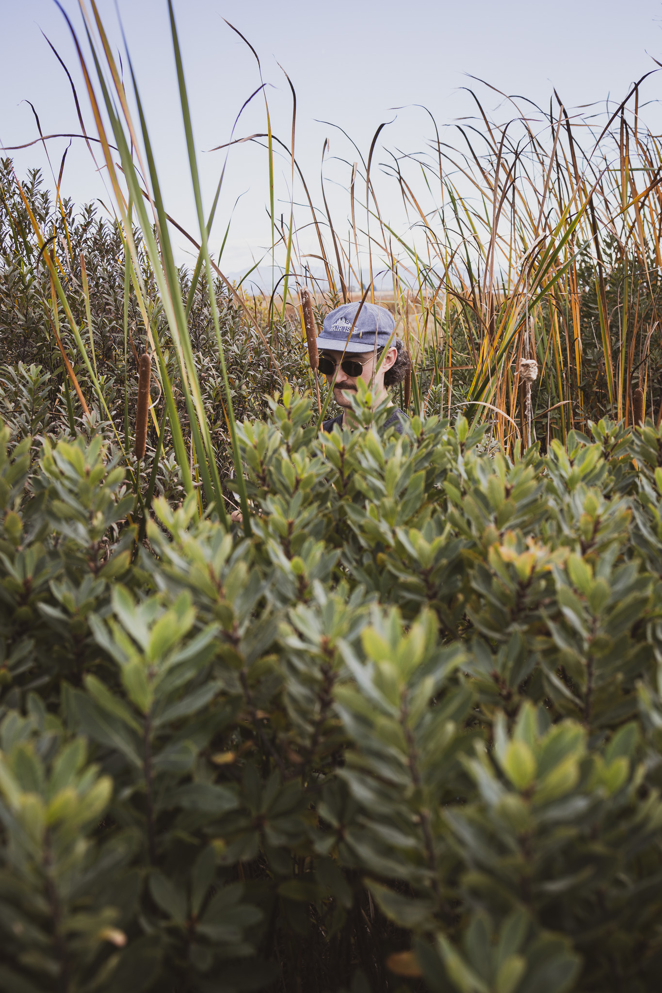 MyrtleForagingDay-04