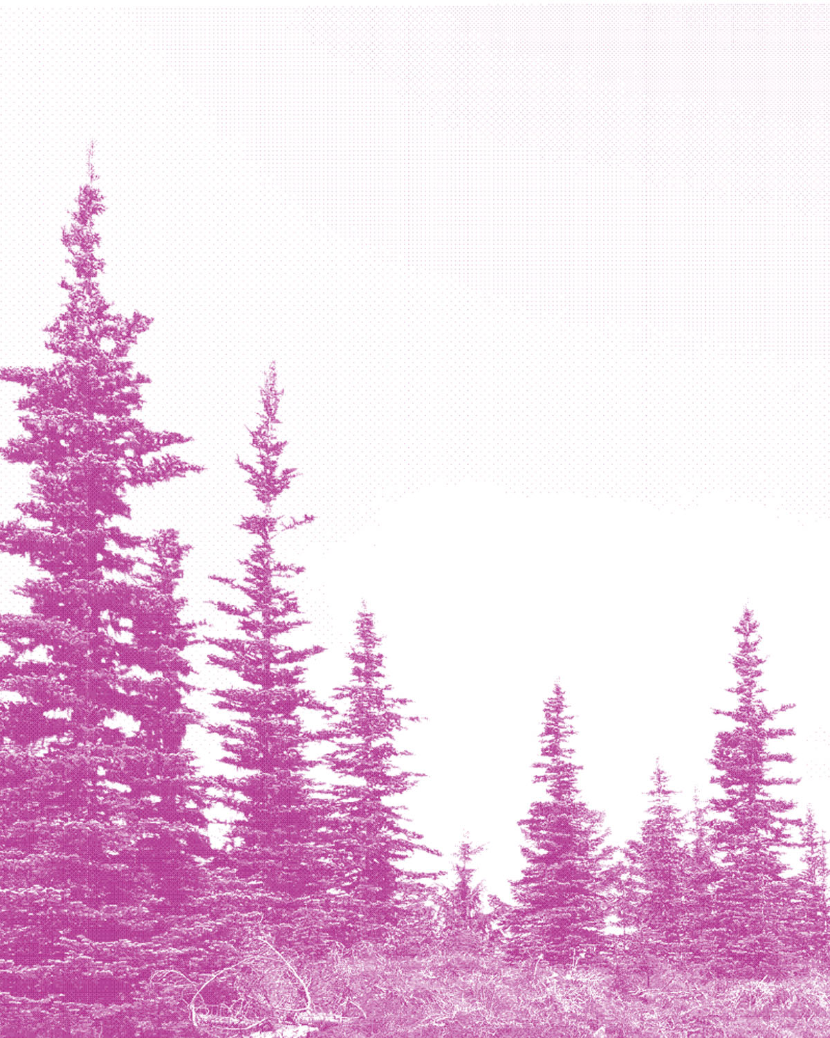 Image or graphic for Orrorin