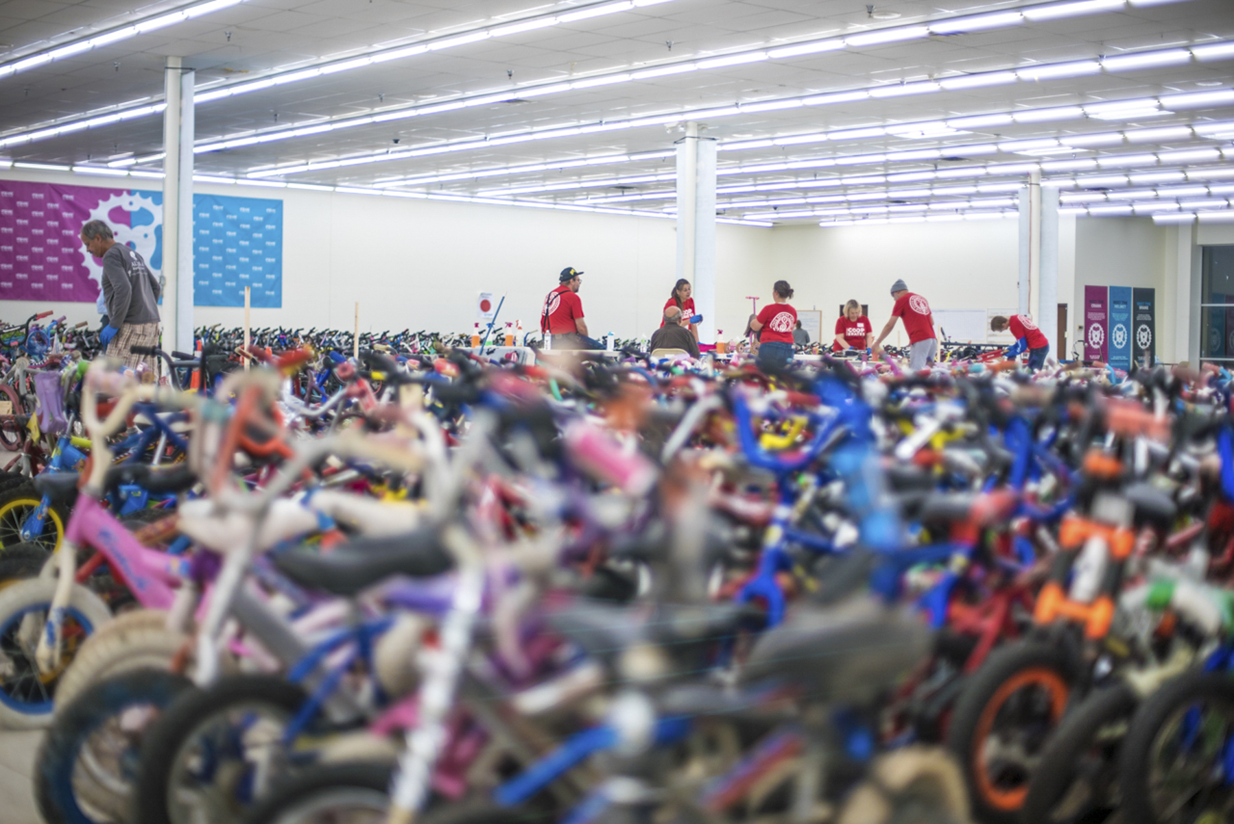 Cooperates_bikes_2_FAIRSTATE_