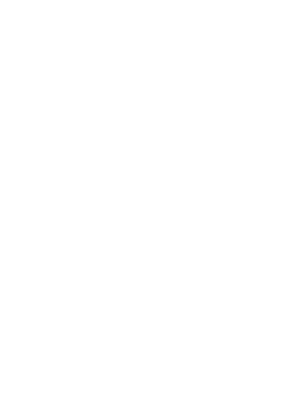 SIRSY | Fireforge Crafted Beer