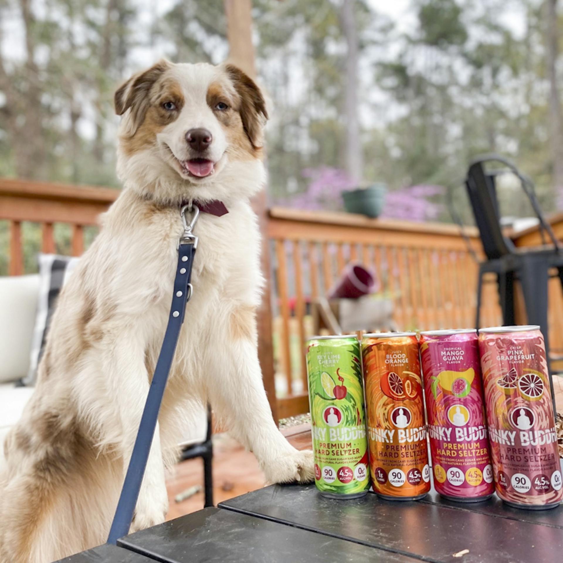 Funky Buddha Hard Seltzer and a dog