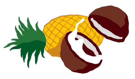 pineapple-coconut@2x Coconut artwork