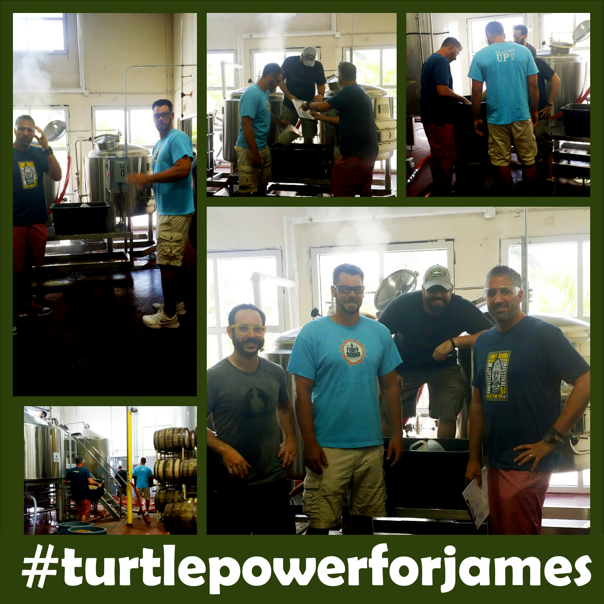 Turtle Power for James Edwards