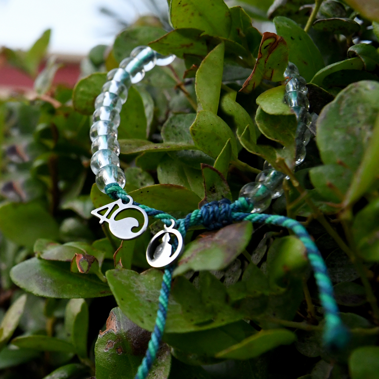 Funky Buddha X 4Ocean Collaboration