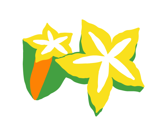 FBB_Funklightened_Starfruit FBB_Funklightened_Starfruit