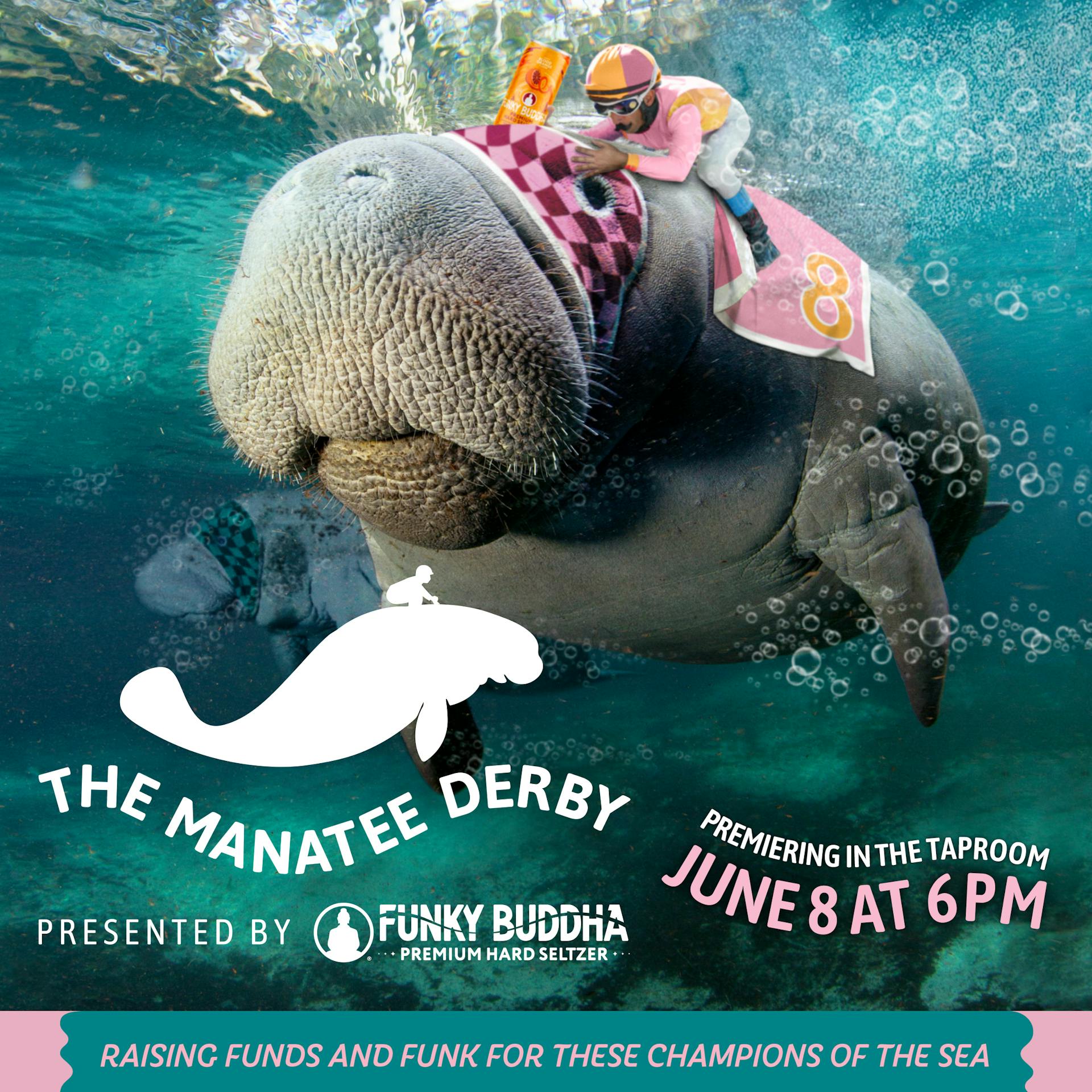 FBB_Manatee_Derby_2400x2400_Taproom copy FBB_Manatee_Derby_2400x2400_Taproom copy