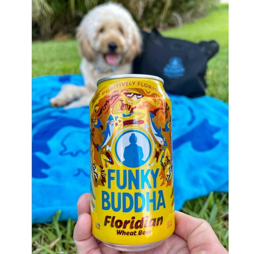 addiethedoodlepup 01 addiethedoodlepup 01