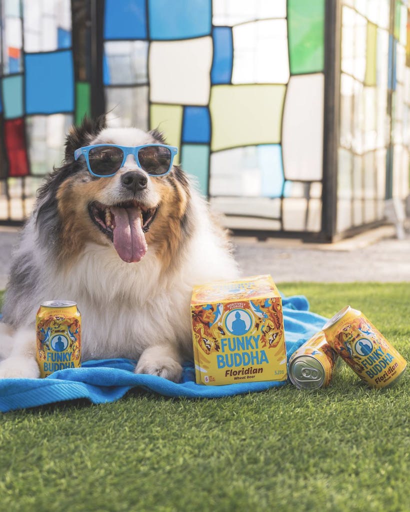 heisenaussie 01 heisenaussie 01