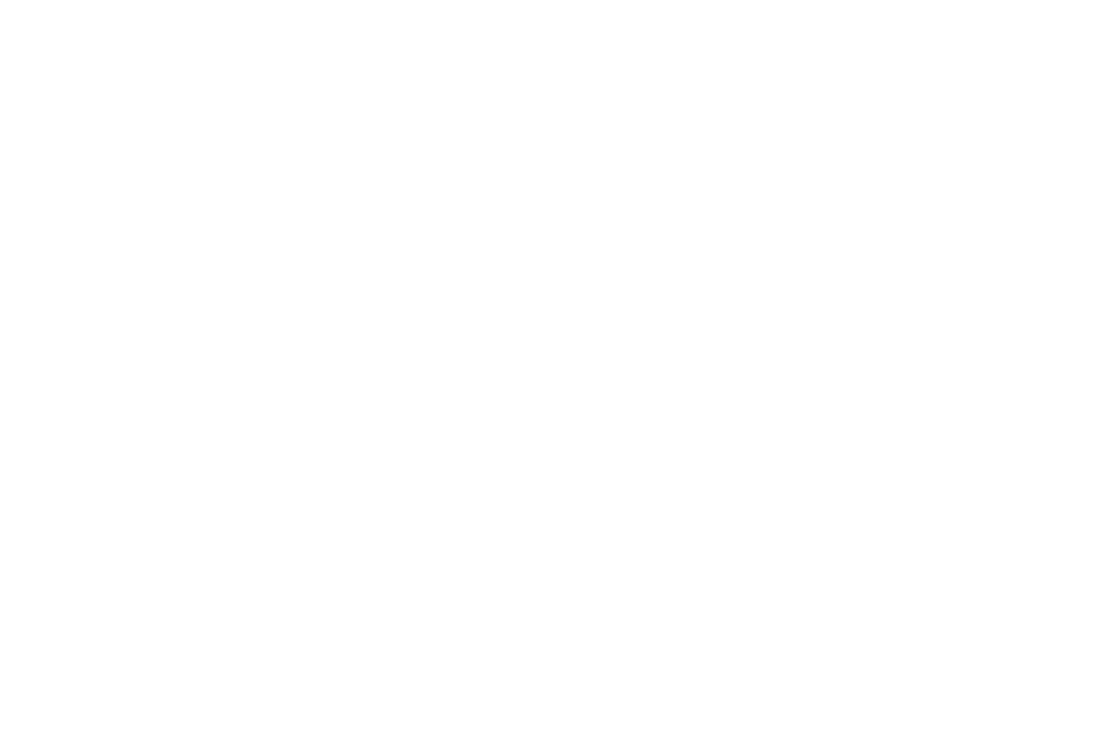 The Manatee Derby
