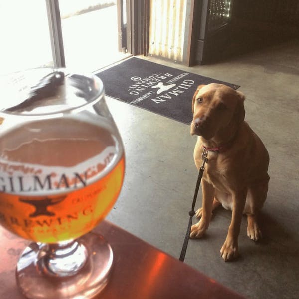 Gilman Brewing Company in Berkeley is a brewery for pet lovers