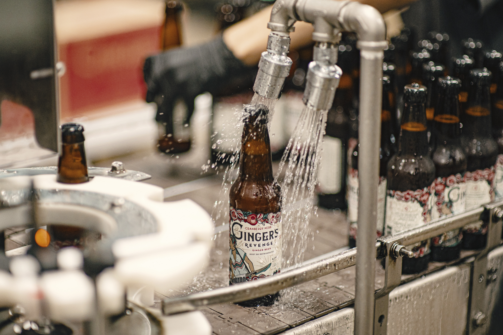 What’s Brewing: Ginger’s Revenge