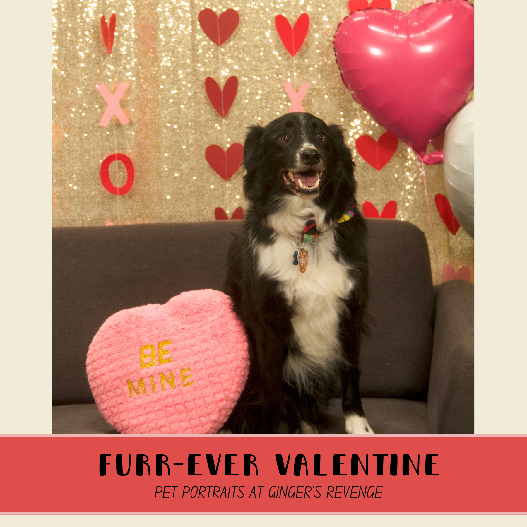 Furr-Ever Valentine