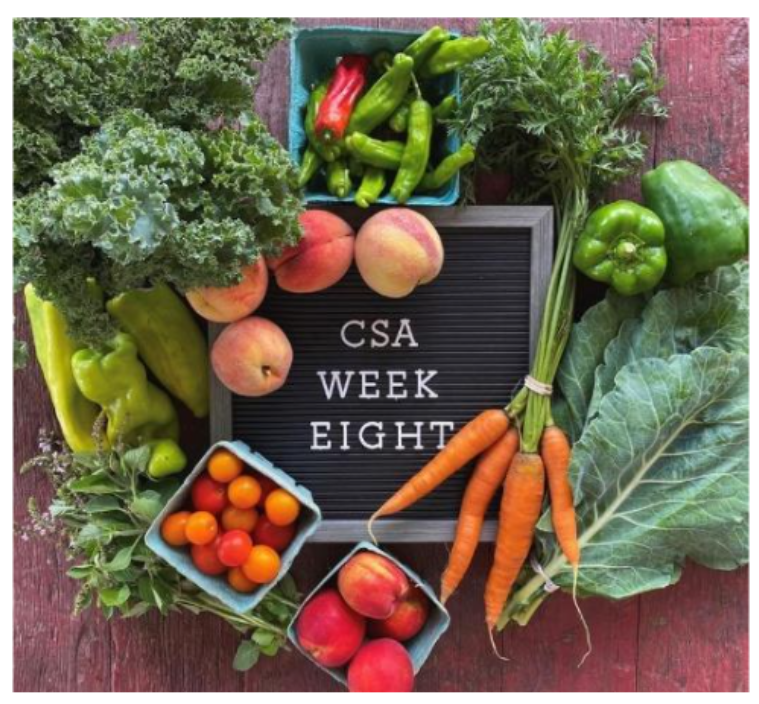 CSA Pick-Up | Mountain Foods