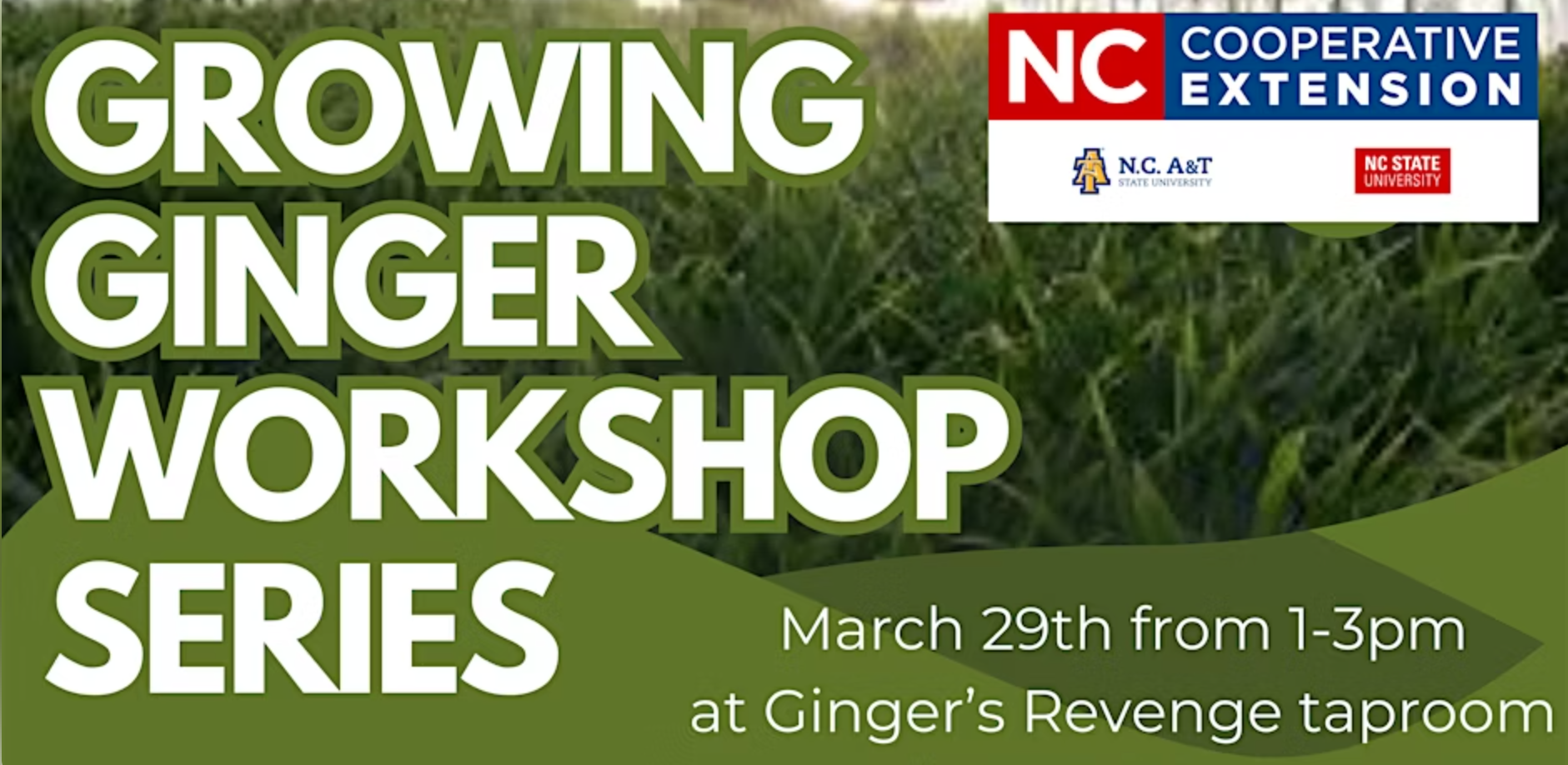 Screen Shot 2025-03-06 at 5.55.25 PM