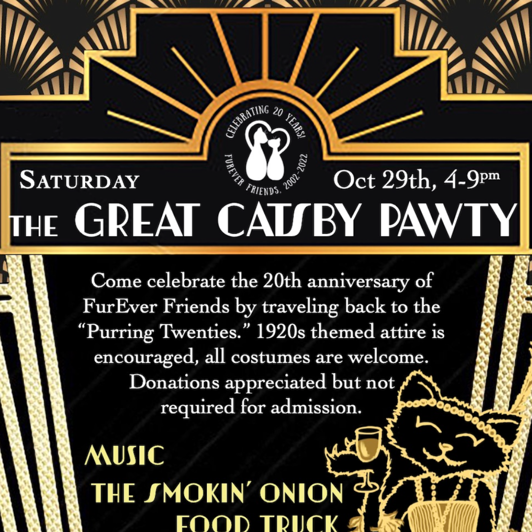 The Great Catsby Pawty