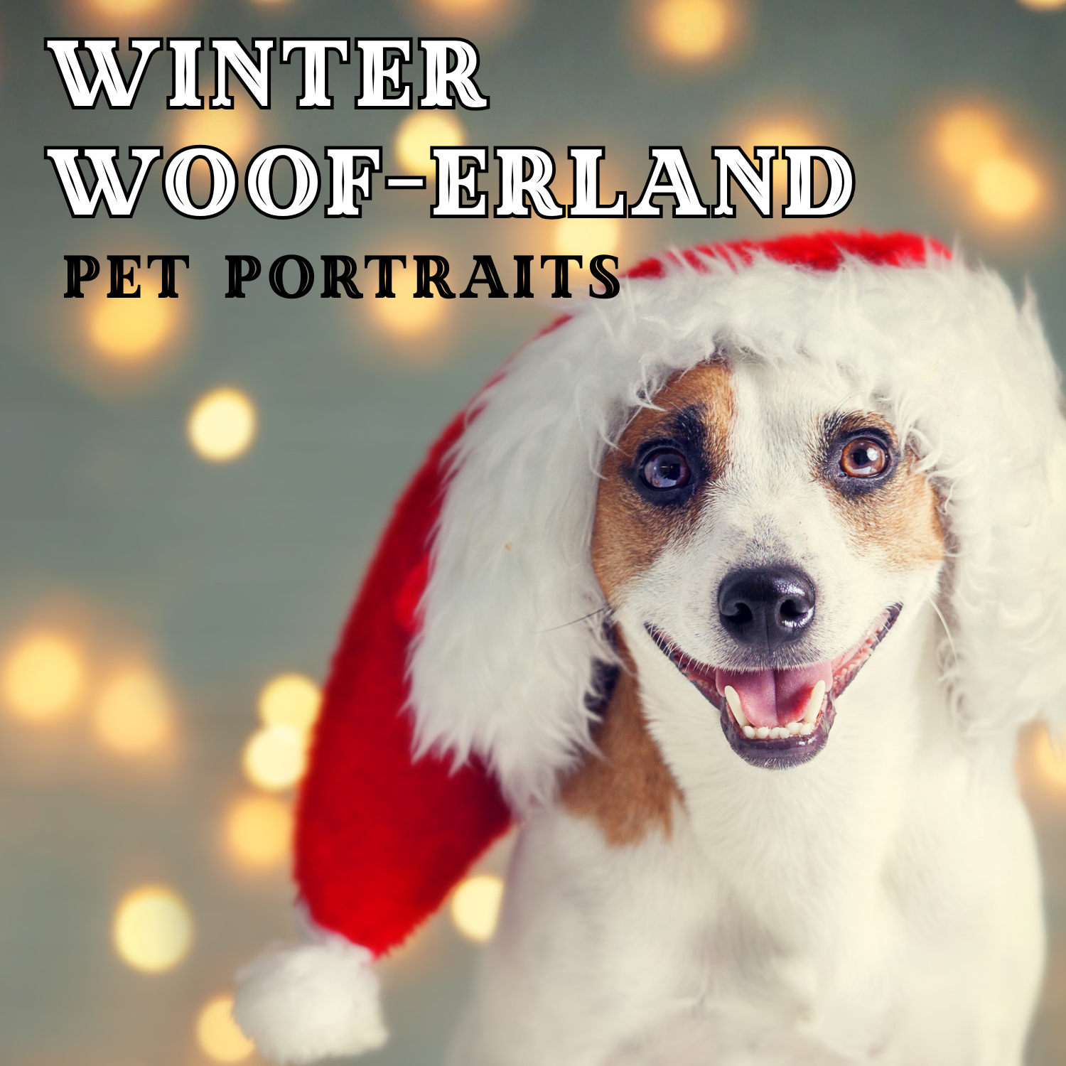 Winter Woof-erland Photos!