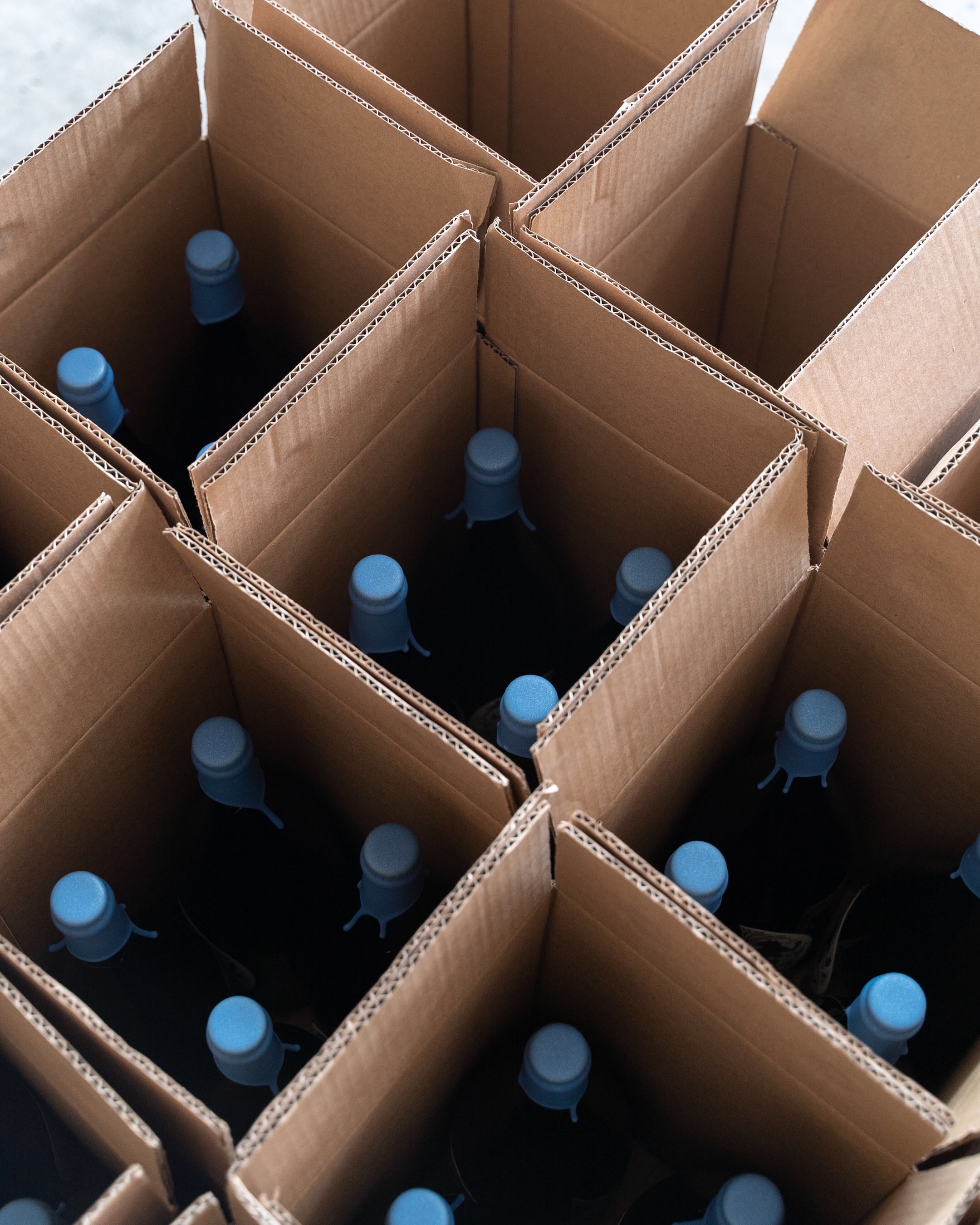 C3016C88-801C-4B9E-8062-D1D98A2EADDF