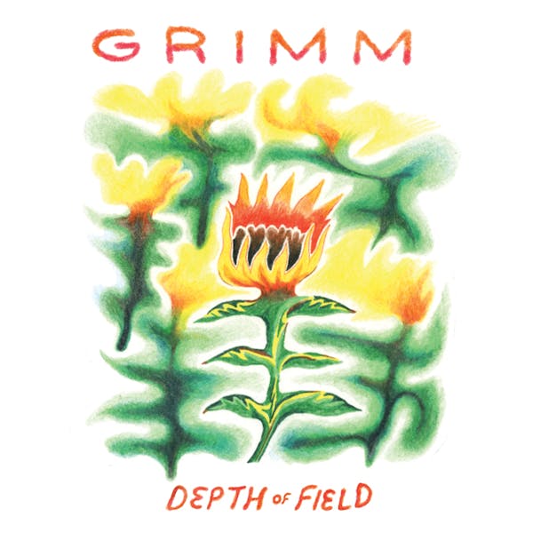 Image result for grimm depth of field