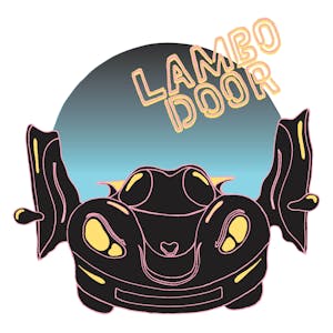 Lambo Door