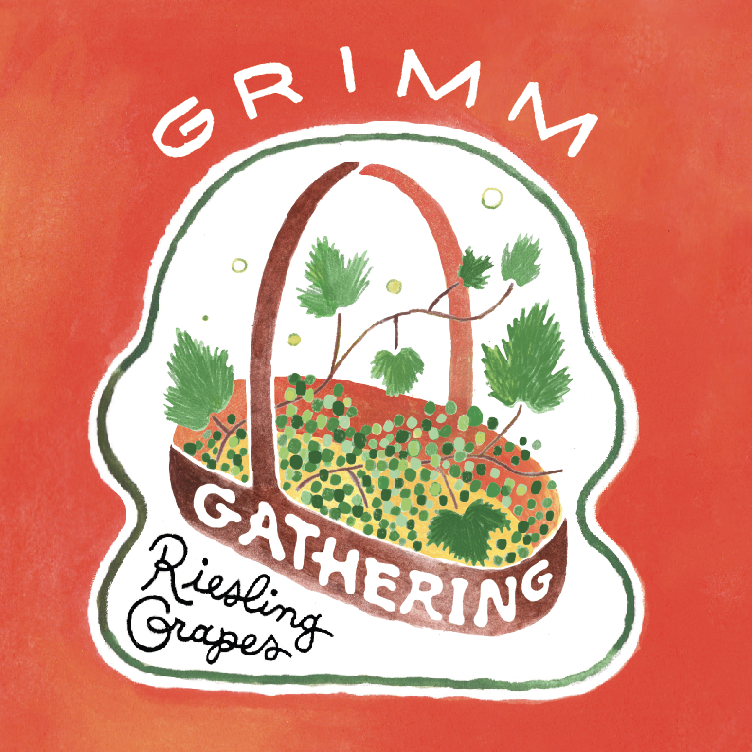 Gathering Riesling Grapes