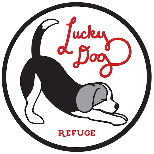 Lucky Dog Lucky Dog