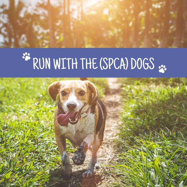 Run With the (SPCA) Dogs