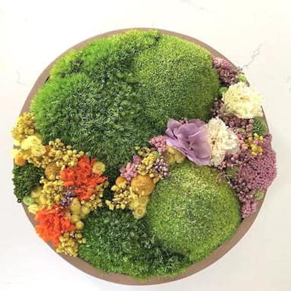 mossart mossart