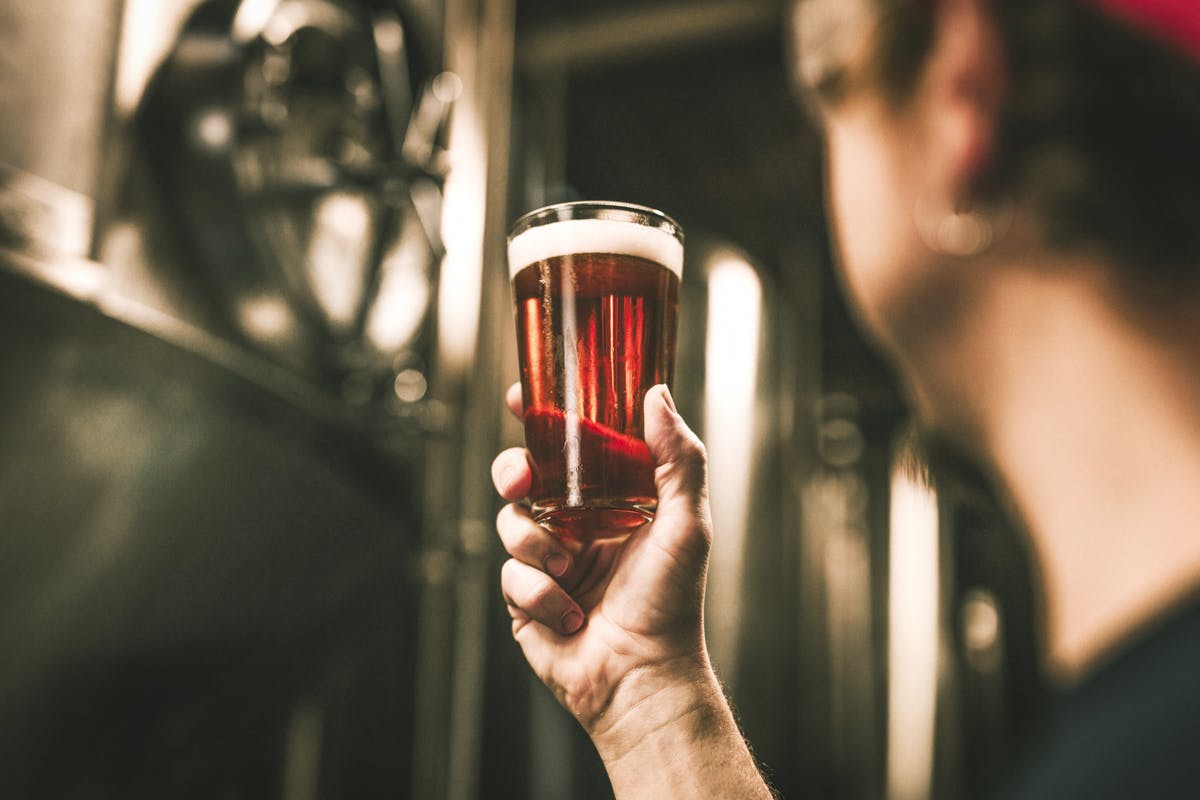 man holding up a pint of beer next to brewing equipment