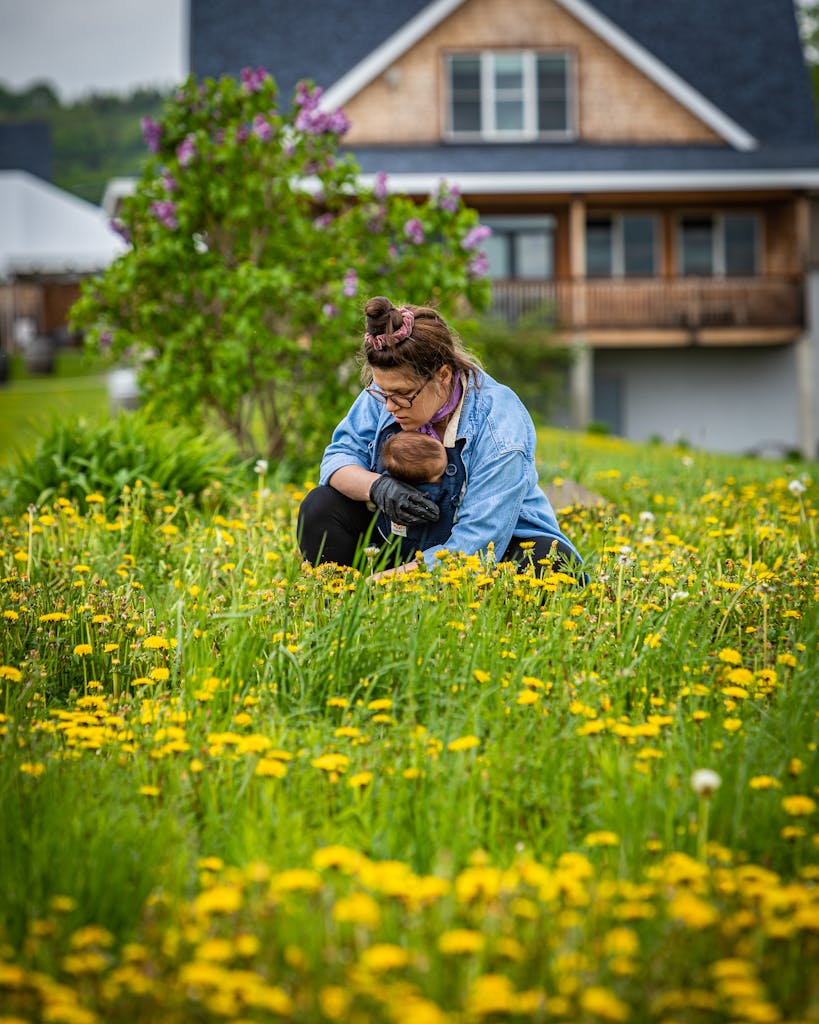 dandelion picking