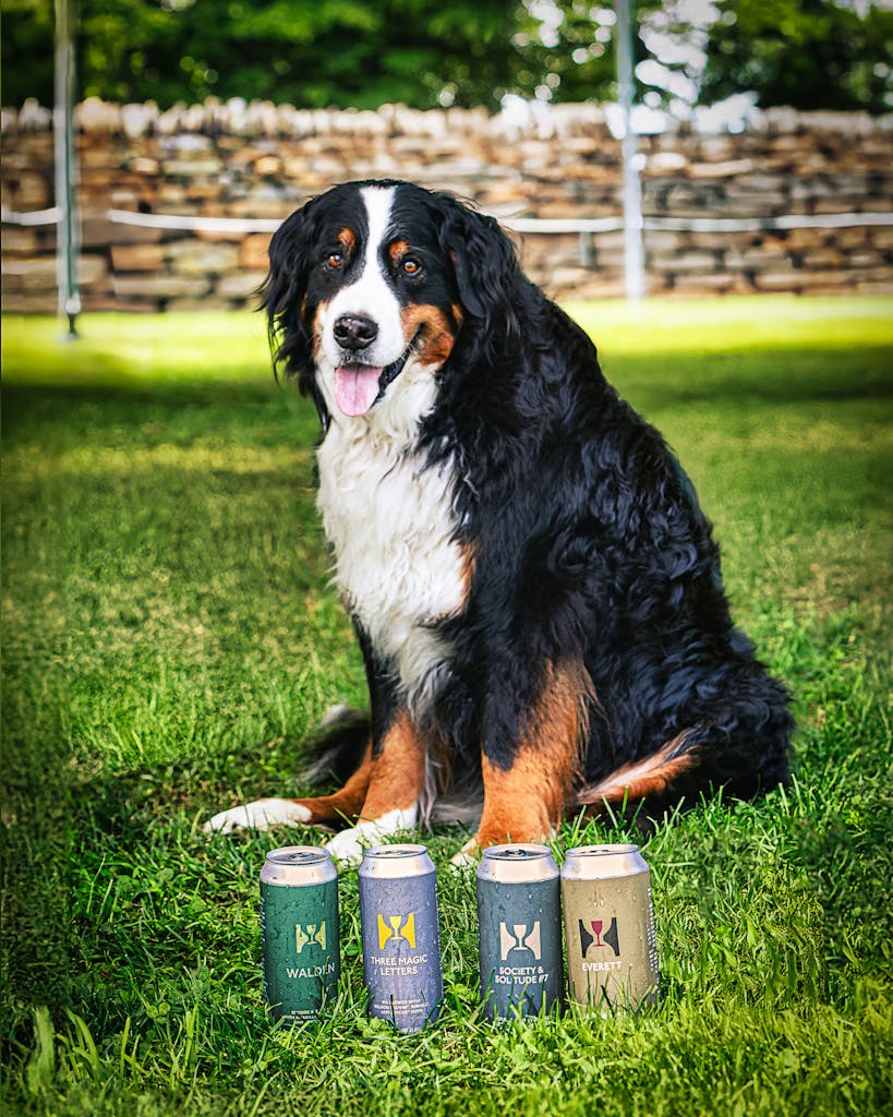 733A2887-Enhanced-NR-Edit Dog with beer