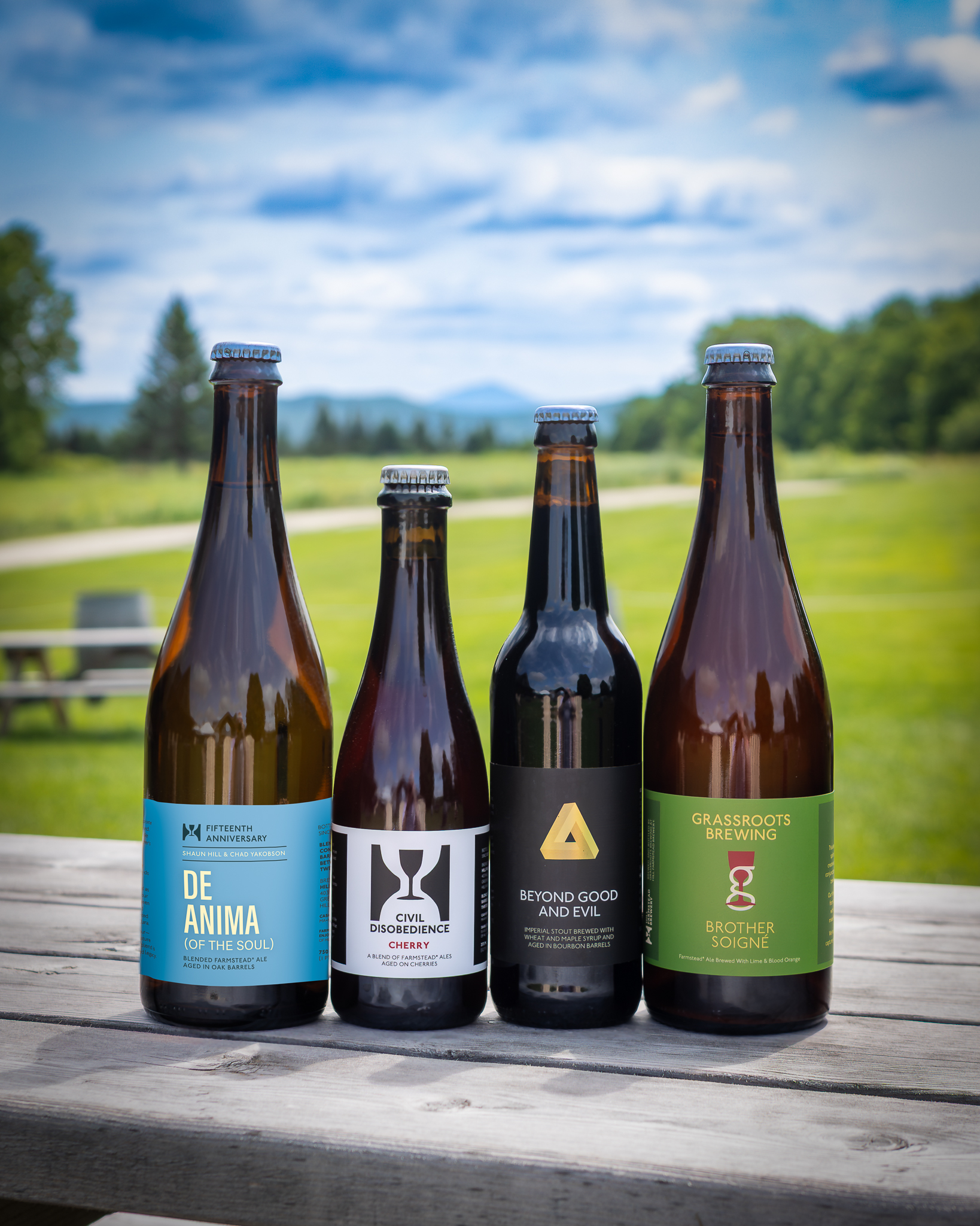 733A6020-Enhanced-NR-HDR-Edit