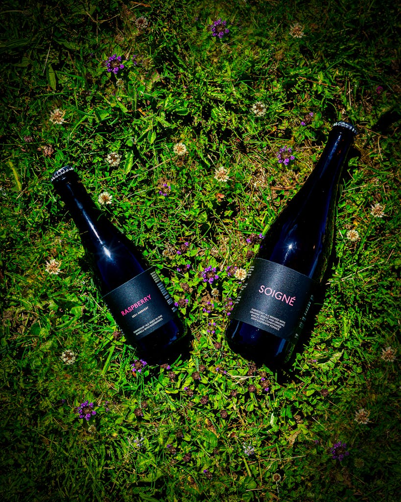 733A7503-Enhanced-NR-Edit Bottles of beer