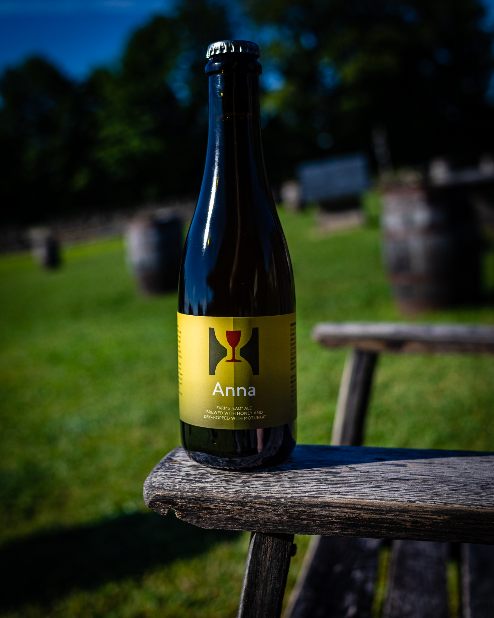 Anna Mot 20190718 002