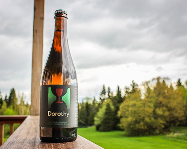 BA-Dorothy_v2 BA-Dorothy_v2