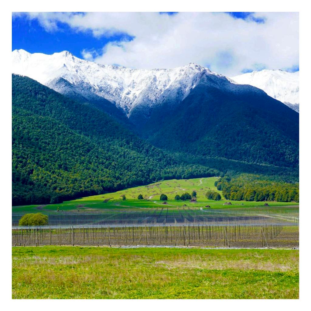Freestyle Nelson Lakes Hop Farm
