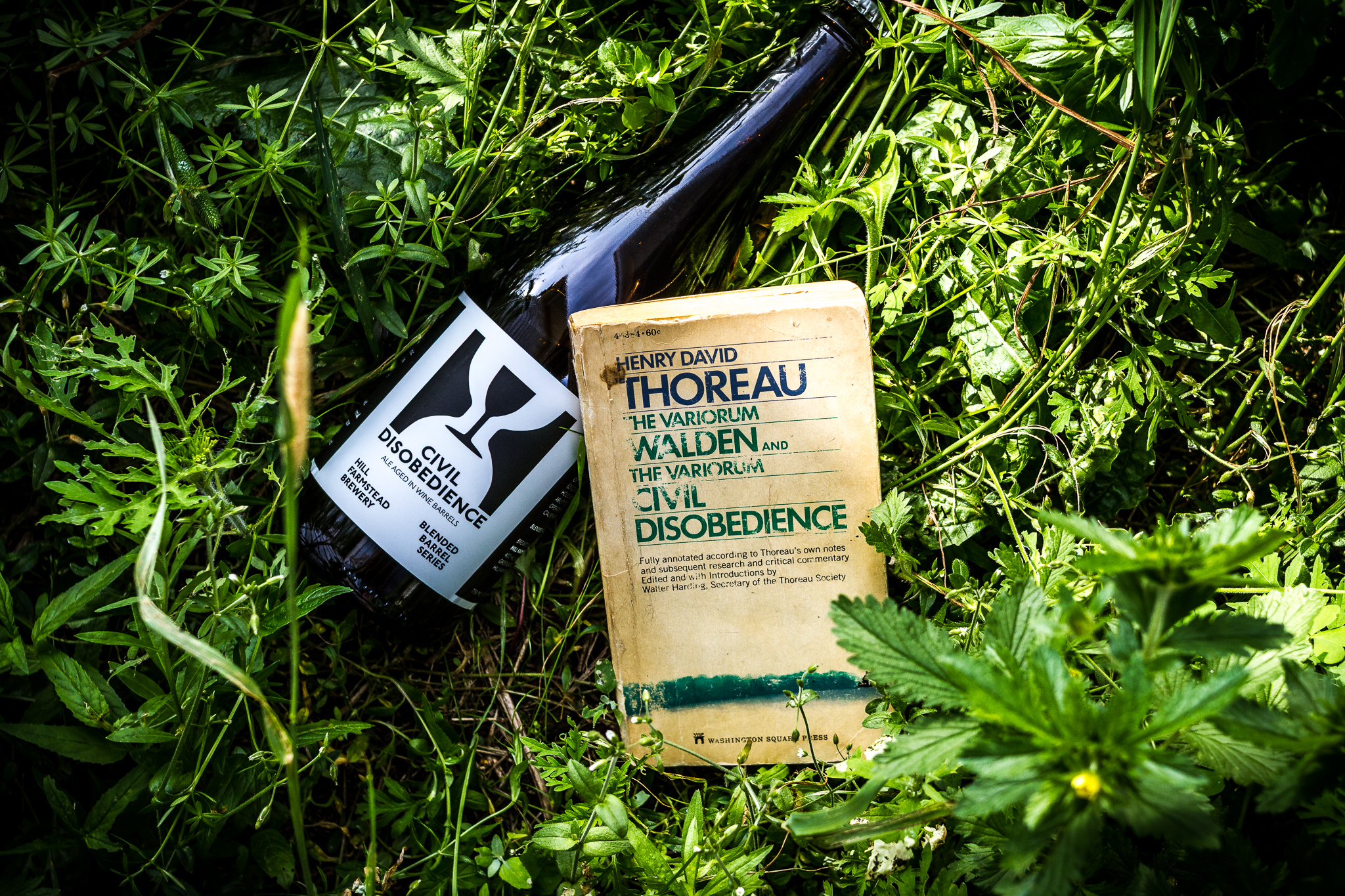 Hill Farmstead Civil Disobedience Henry David Thoreau