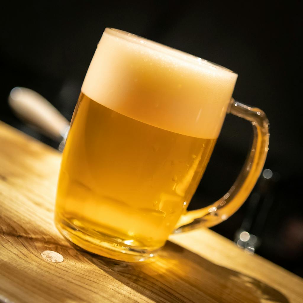 Mug of Beer