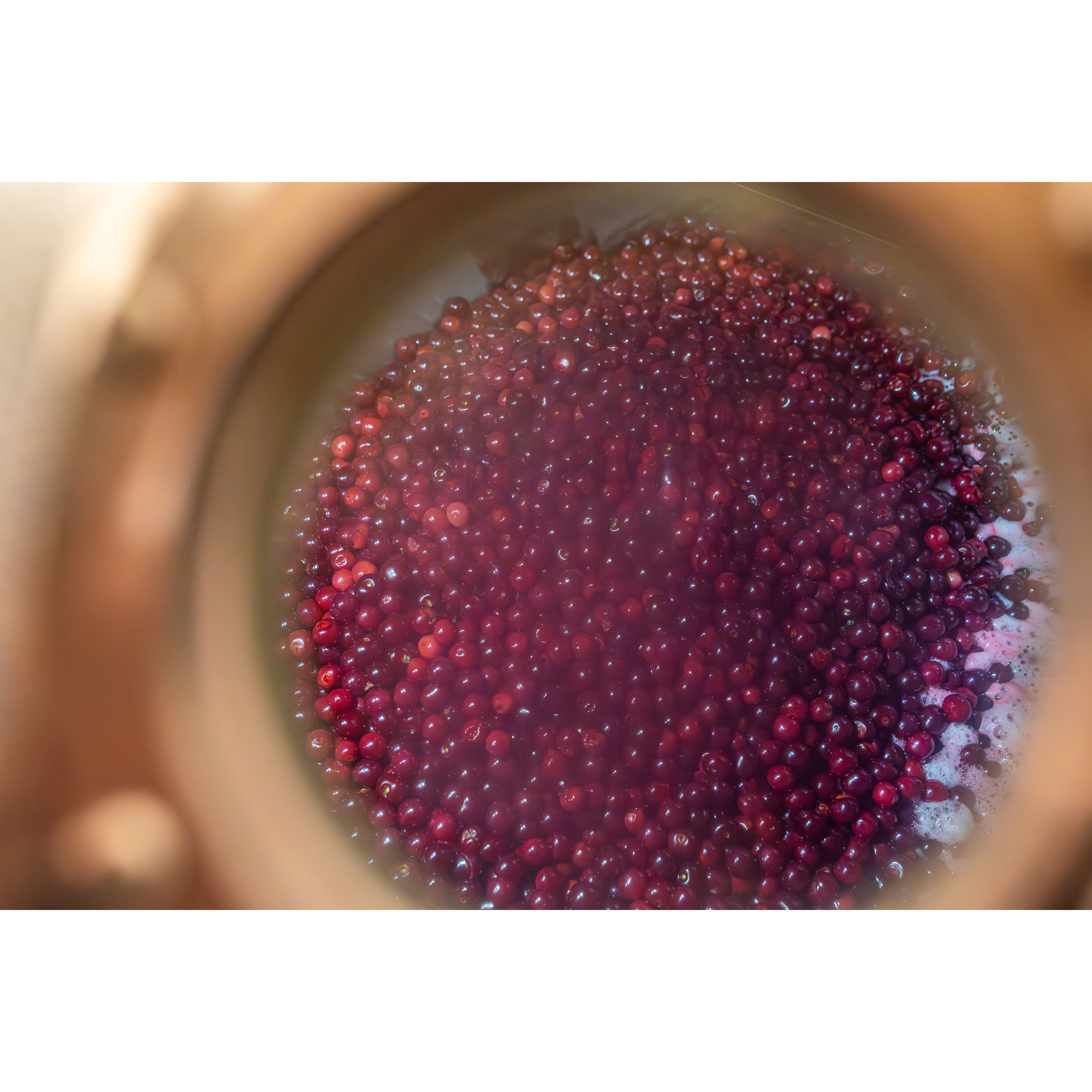 HFB 20190801 0942-Enhanced-NR